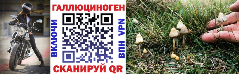 Галлюциногенные грибы прущие грибы  мега онион  Афипский 